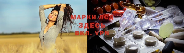 spice Богородицк